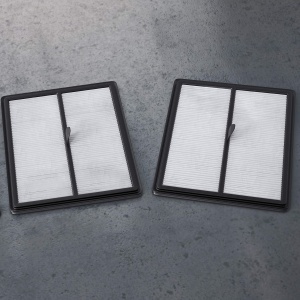 Set de filtre AEG AFR1 pentru RX9 (pachet dublu, 2 filtre XXL lavabile, filtrare optima, curatare usoara, inlocuire regulata a filtrului, capteaza polenul si alergenii, personalizat, negru/alb) - Img 2