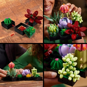 Set LEGO Botanicals 10309 Sukkulenten 9 plante artificiale decor modern pentru casa si birou - Img 3