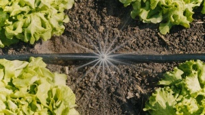 Sistem de irigare prin picurare Gardena Micro-Drip, 40 m, set complet - Img 7