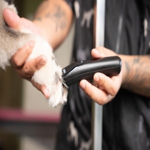 Trimmer pentru par Wahl Fidela, lama 0.4mm, pentru zone sensibile - Img 6