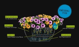 Vaza de Plante Lechuza CUBETO 40 cm, Graphitschwarz, cu Sistem de Udat - Img 4