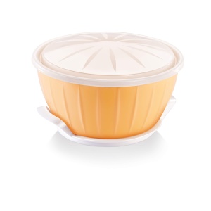 Bol de framantat Tescoma DELICIA, 26 cm, cu gel si capac ermetic - Img 3