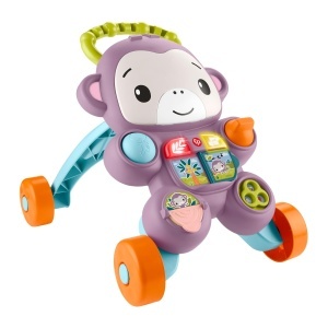 Carucior de mers Fisher-Price JGW90, lila, cu activitati muzicale