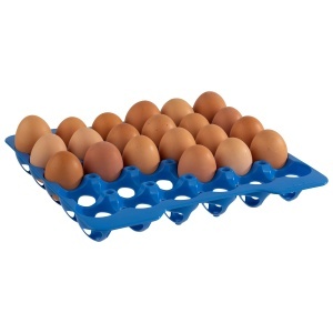 Cutie pentru oua APS, capacitate 30 oua, dimensiuni 28,5 x 28,5 cm - Img 2