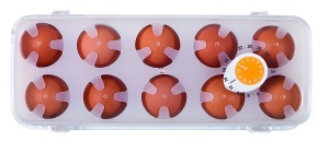 Cutie pentru oua Tescoma PURITY, 10 oua, plastic sanitar, cu ventilatie - Img 3