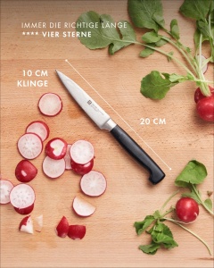 Cutit de Curatat ZWILLING VIER STERNE 10 cm, Otel Inoxidabil, Maner Ergonomic, Negru - Img 9