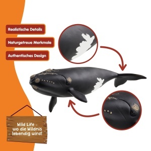 Figurina de colectie Schleich WILD Life - Nordatlantischer Glattwal 19 x 10 x 5 cm - Img 3
