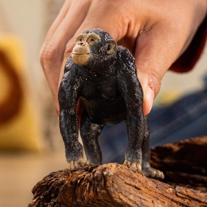Figurina Schimpanze Schleich WILD Life 9 x 5 x 7 cm, Detaliu Realist, Ab 3 Ani - Img 2