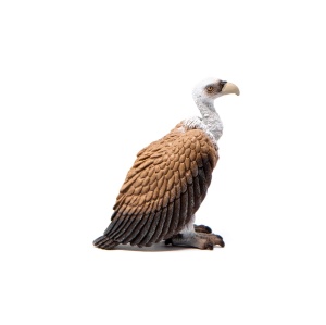 Figurina Vultur Schleich WILD Life 14847, 4 x 6 x 7 cm, pentru copii de la 3 ani - Img 5