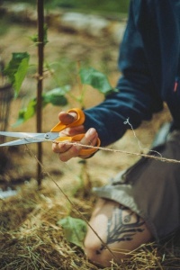 Foarfeca universala Fiskars Classic, 21 cm, otel inoxidabil, maner ergonomic, portocalie - Img 5