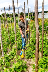 GLORIA Gardenboy Plus | Crumbler electric de fund | Motocarna/sapa de gradina si cultivator cu adancime de lucru de 8 cm | Pentru afanarea solului - Img 8