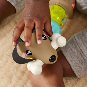 Jucarie pentru bebelusi Fisher-Price FP Pets Activitate Caine cu sunete si culori vii - Img 4