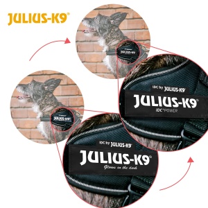 Julius-K9, Ham IDC Power, Marime: XS/Mini-Mini, Roz cu Flori Mici - Img 7