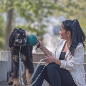 Leash pentru caini TRIXIE CityStyle, extensie S-M, 2m, 13mm, culoare salvie - Img 6