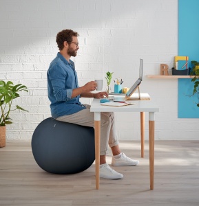 Minge de exercitii Leitz Ergo Cosy 65 cm, culoare gri, cu pompa si husa detasabila - Img 2