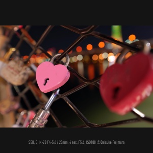 Obiectiv Panasonic Lumix S-R1428E, 14-28 mm, F4-5.6, Ultra-weitwinkel, Ideal pentru Video - Img 5