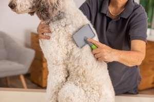 Perie mare pentru animale Wahl 2999-7075, cu maner ergonomic, pentru blana sanatoasa - Img 3