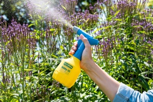 Pulverizator de mana Gloria Hobby 05 Flex | Sticla de pulverizare cu pompa de 0,5 L | Sticla de pulverizare pentru plante | Pompa cu cursa dubla si pulverizare aeriana | Pulverizator de gradina cu duza reglabila pentru gospodarie si balcon - Img 2