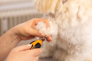 Rasnita pentru unghii animale Wahl, silentioasa, usoara, cu 2 viteze - Img 6