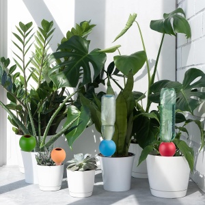 Set 4 Ghiuvete pentru Udat Plante, Relaxdays, 300ml, Design Colorat - Img 5