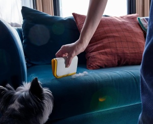 Set curatare pentru par de animale Joseph Joseph CleanTech 3 piese, cu maner telescopic - Img 8
