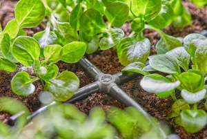 Sistem de Irigare Micro-Drip Gardena 4,6 mm, 10 Bucati, Instalare Fara Coturi - Img 5