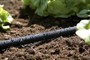 Sprinkler pentru udare Gardena Perl-Regner 15 m, ajustabil, eficient - Img 5
