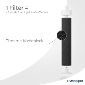 Sticla de Apa Wessper Clarti 680ml cu Filtru Activ, Borosilikat, Transparent - Img 3
