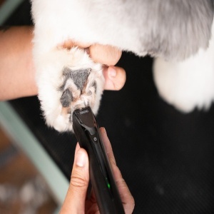 Trimmer pentru par Wahl Fidela, lama 0.4mm, pentru zone sensibile - Img 3