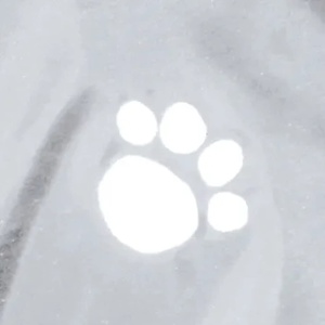 TRIXIE Tarbes Pelerina de ploaie pentru caini S transparent - Jacheta de ploaie pentru caini cu elemente reflectorizante pentru mai multa siguranta in intuneric - confortabila si reglabila - 3001 - Img 3