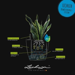 Vaza cu sistem de udare Lechuza CLASSICO Color, Schiefergrau, 35 x 35 x 33 cm - Img 4