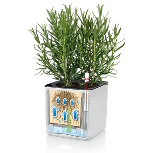 Vaza pentru plante LECHUZA Cube Color 16, 17 x 17 x 16 cm, Schiefergrau, cu sistem de udare - Img 8