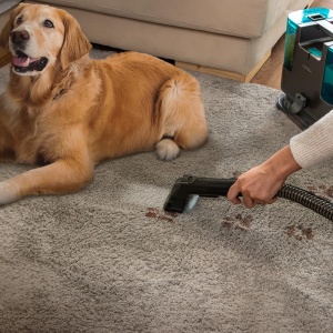 Aspirator tapitat Cecotec Conga Popstar 3000 CarpetClean 400 W 2 rezervoare - unul pentru apa curata si unul pentru apa murdara - pulverizator de apa  - Img 5