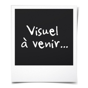 Cartus de cerneala Canon CL-513 FINE XL, 13 ml, Culoare (Cyan, Magenta, Galben) - Img 2