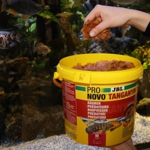 Faina de peste JBL PRONOVO TANGANYIKA, 5500 ml, hrana pentru cichlide 8-20 cm - Img 2
