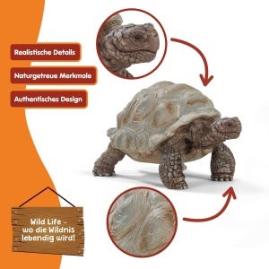 Figurina Razboinica din Plastic Schleich WILD LIFE - Broasca testoasa uriasa, 8 x 4 x 4 cm - Img 3