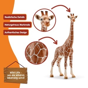 Figurina Schleich Wild Life Giraffenkuh 14750 Detalii Realiste 9 x 4 x 17 cm - Img 3