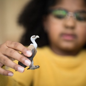 Figurina Vultur Schleich WILD Life 14847, 4 x 6 x 7 cm, pentru copii de la 3 ani - Img 2