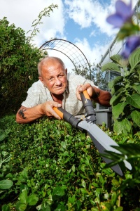 Fiskars PowerGear X Geared Trimmer pentru gard viu, acoperit antiaderent, lame din otel de inalta calitate, lungime: 63 cm, negru/portocaliu, HSX92, 1023631 - Img 4