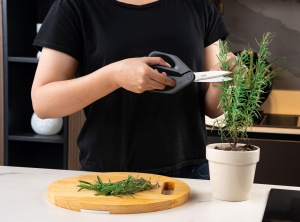 Foarfeca Zyliss 23 cm cu cutter integrat, inox, ergonomic - Img 6