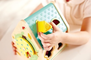 Hape Formsortierer pentru copii 24 luni joc educativ cu forme si figurine - Img 2