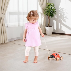 Hape Shape Sorter Buburuza, Animal Pull-along - Img 5