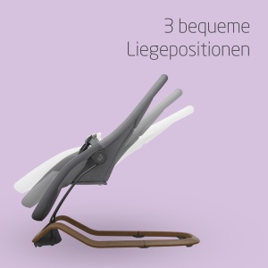 Maxi-Cosi Dove Babywippe 0-3 Ani 0-15 kg Elegance Graphite - Img 3