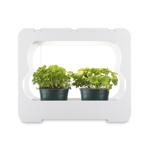 Mini Sera cu LED Xavax pentru Plante, 3 Ghivece 10 cm, Alb