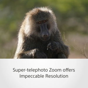 Obiectiv Telefoto Sony SEL200600G, 200-600mm, F5.6-6.3, E-Mount, ideal pentru sport si wildlife - Img 3