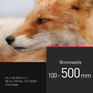 Obiectiv telezoom Panasonic LUMIX S-R100500E 100-500 mm F5-7.1, waterproof, negru - Img 3