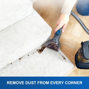 Perie de schimb Vacmaster 952825 Tough-Stain, compatibila cu seria EasyClean - Img 4