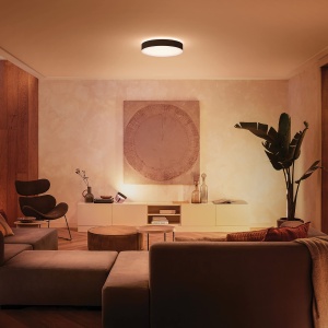 Plafoniera LED Philips Hue White Ambiance Enrave XL, 6100 lm, Negru, Dimabila - Img 8