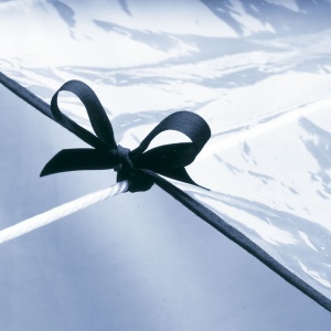 Protectie pentru Rufe Rayen, Universal, Material Rezistent, Dimensiuni 260x122 cm - Img 5