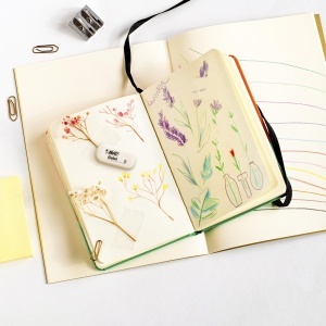Radier BIC din Cauciuc Sintetic, Fara PVC, Extra-Soft, Ovala, Displaybox 12 bucati - Img 2